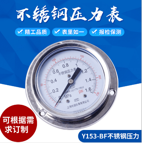 Y153-BF不銹鋼軸向壓力表_上海軸向嵌裝式壓力表_上海不銹鋼耐蝕壓力表_上海不銹鋼壓力表供應(yīng)