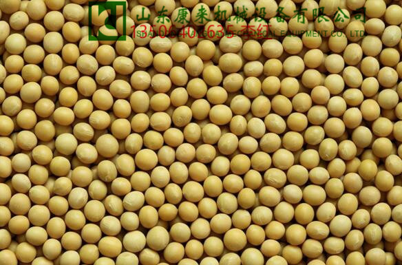 黃豆 黃豆微波烘烤熟化設(shè)備，黃豆脫腥機(jī)  濟(jì)南康來(lái)微波廠家  微波烘烤