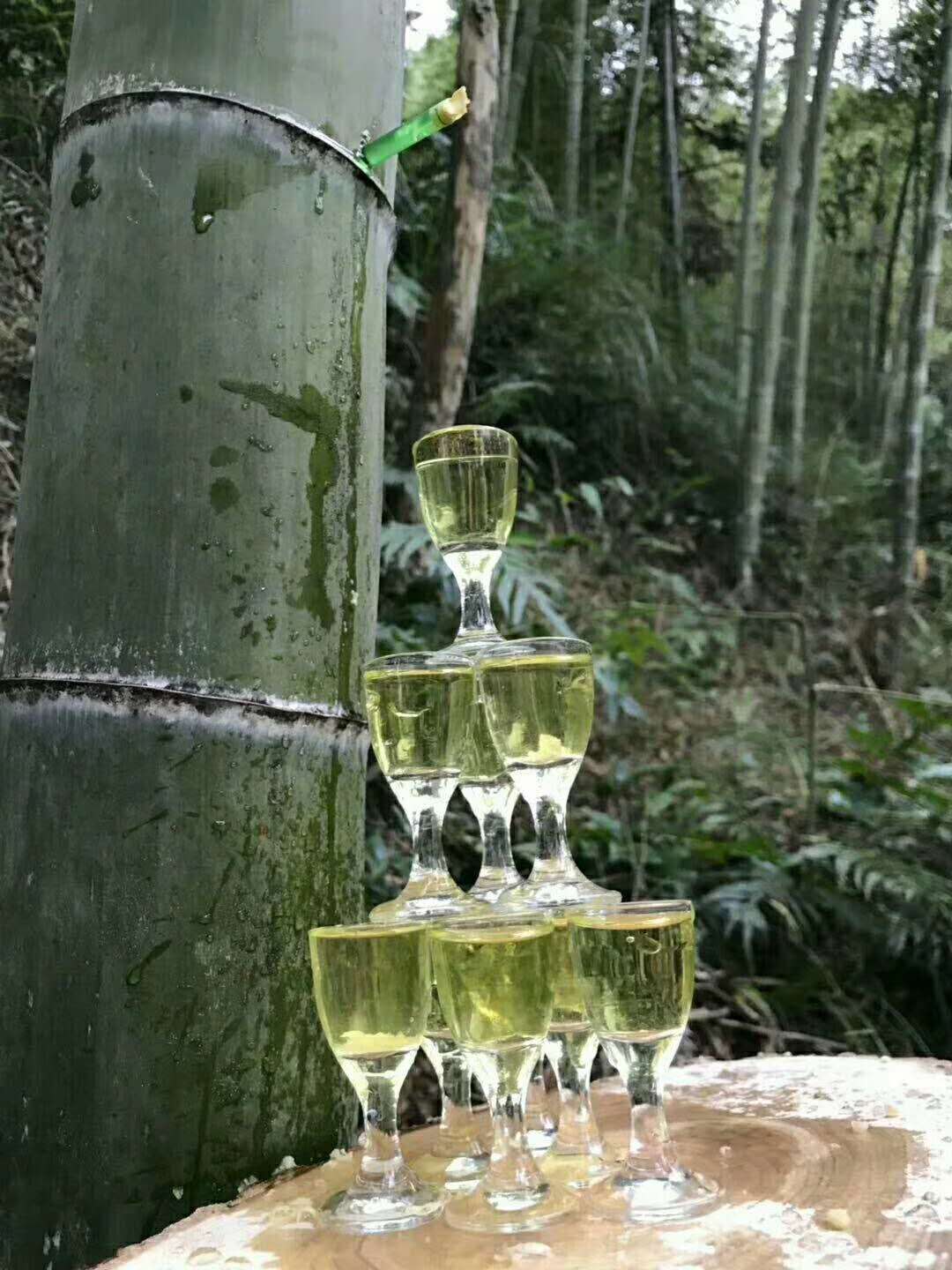 竹筒酒，竹酒，鮮竹酒，青竹酒，活竹酒 福建竹酒批發(fā)加盟