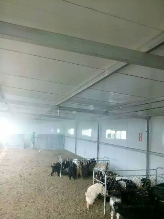 養(yǎng)雞場降溫消毒除臭自動噴霧系統(tǒng)行