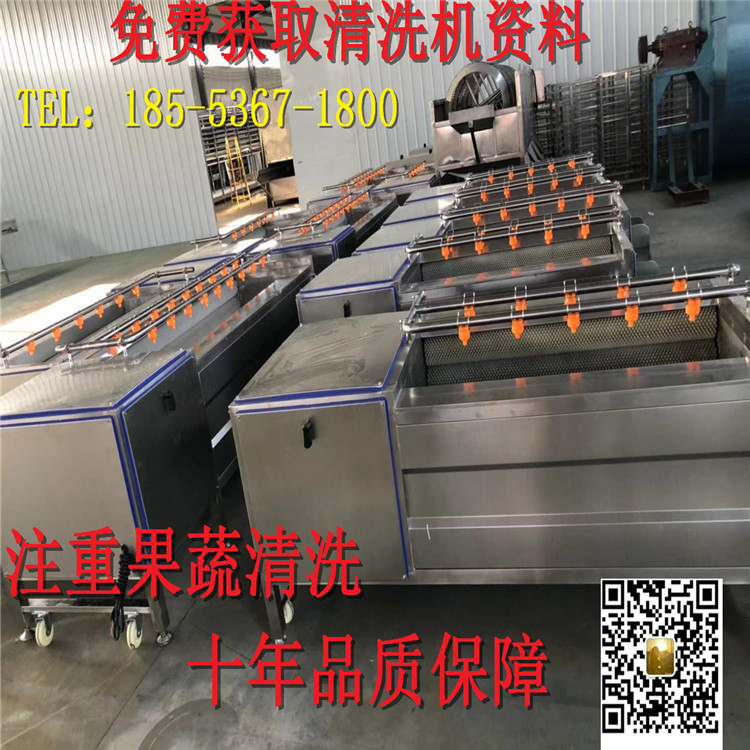 2000型硬毛輥清洗機(jī)