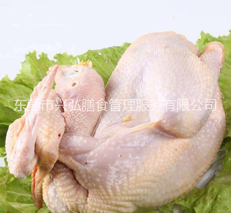 東莞虎門蔬菜配送食堂承包