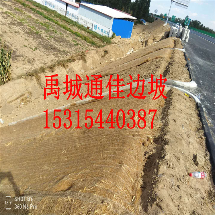 定西定制河道治理 山坡護(hù)坡 植草毯 椰絲環(huán)保草毯 稻草植被毯 pp網(wǎng)椰絲毯