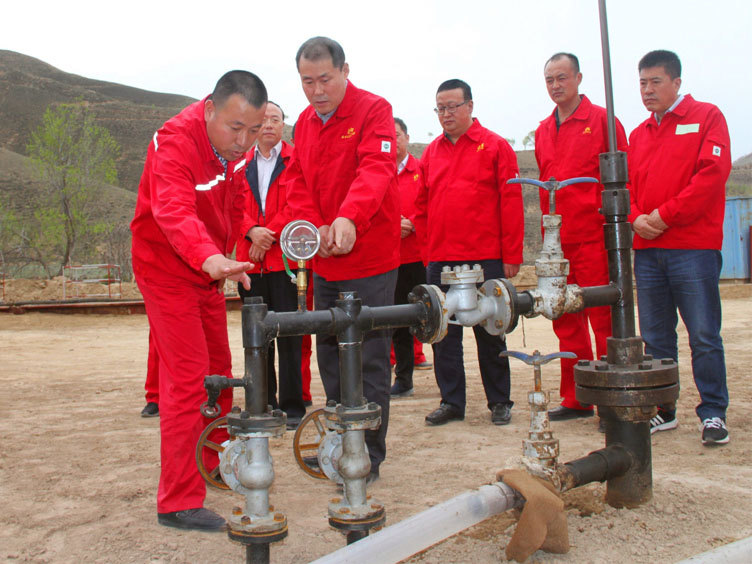 絲口閘閥Z11H-40C DN50 高壓絲扣鑄鋼羊角閥 油田管件