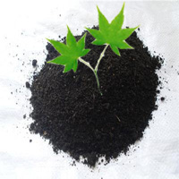 有機(jī)肥雞糞批發(fā)價格發(fā)酵的雞糞肥的價格