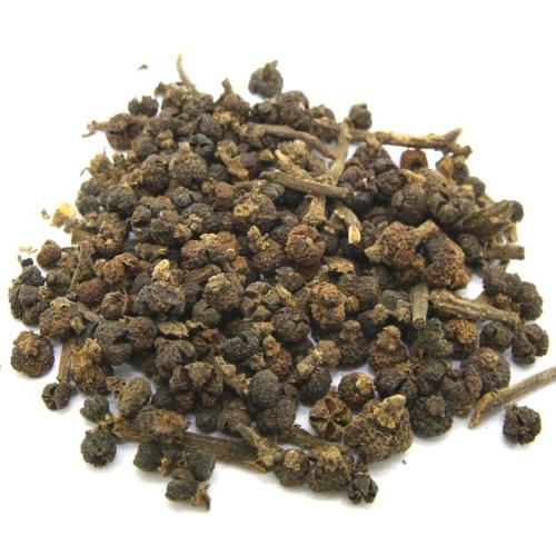 吳茱萸 中花吳茱萸 廣西中華吳茱萸苗 桂林中華吳茱萸
