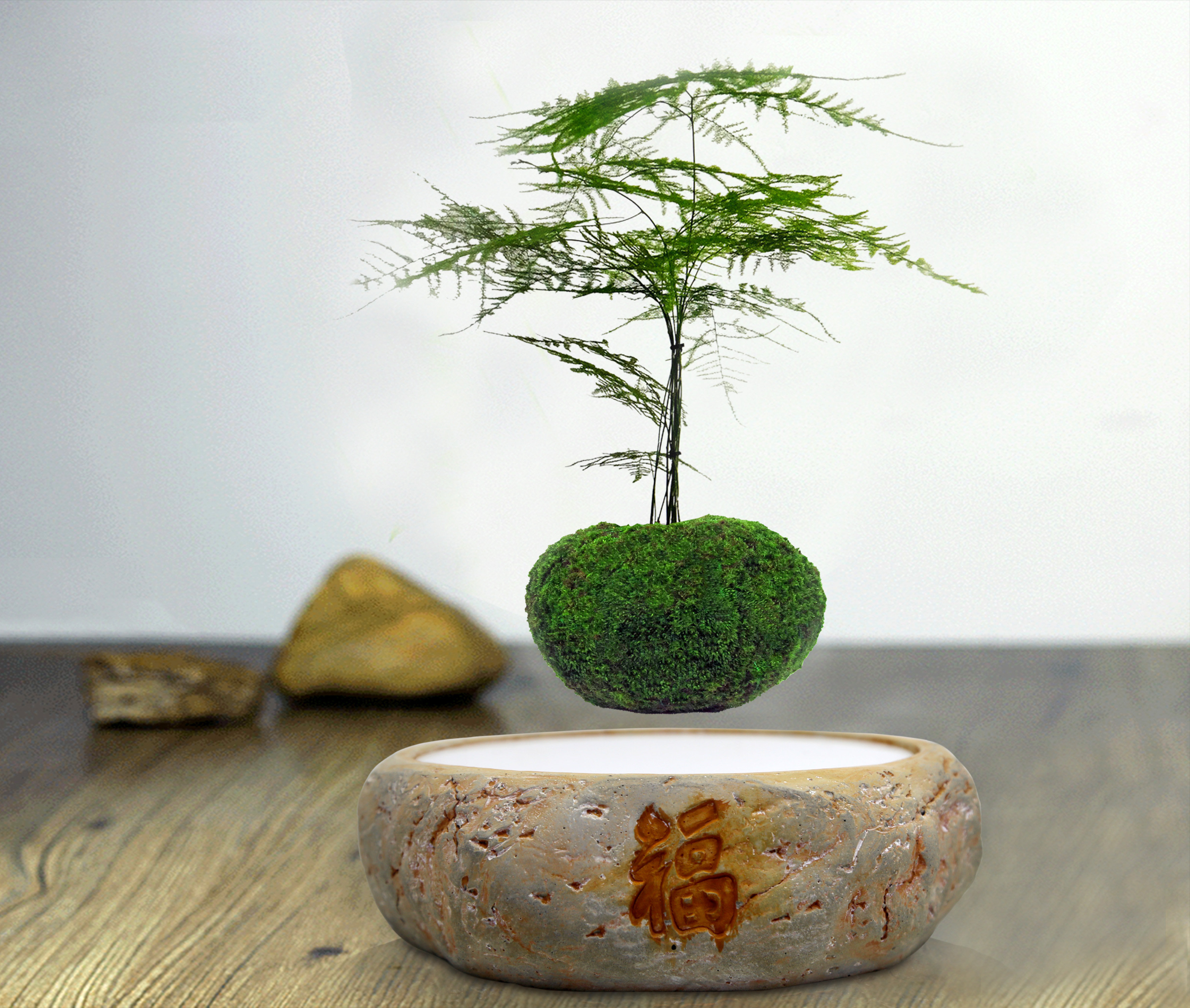 2019新奇特創(chuàng)意新產(chǎn)品 磁懸浮定制盆栽磁懸浮盆栽