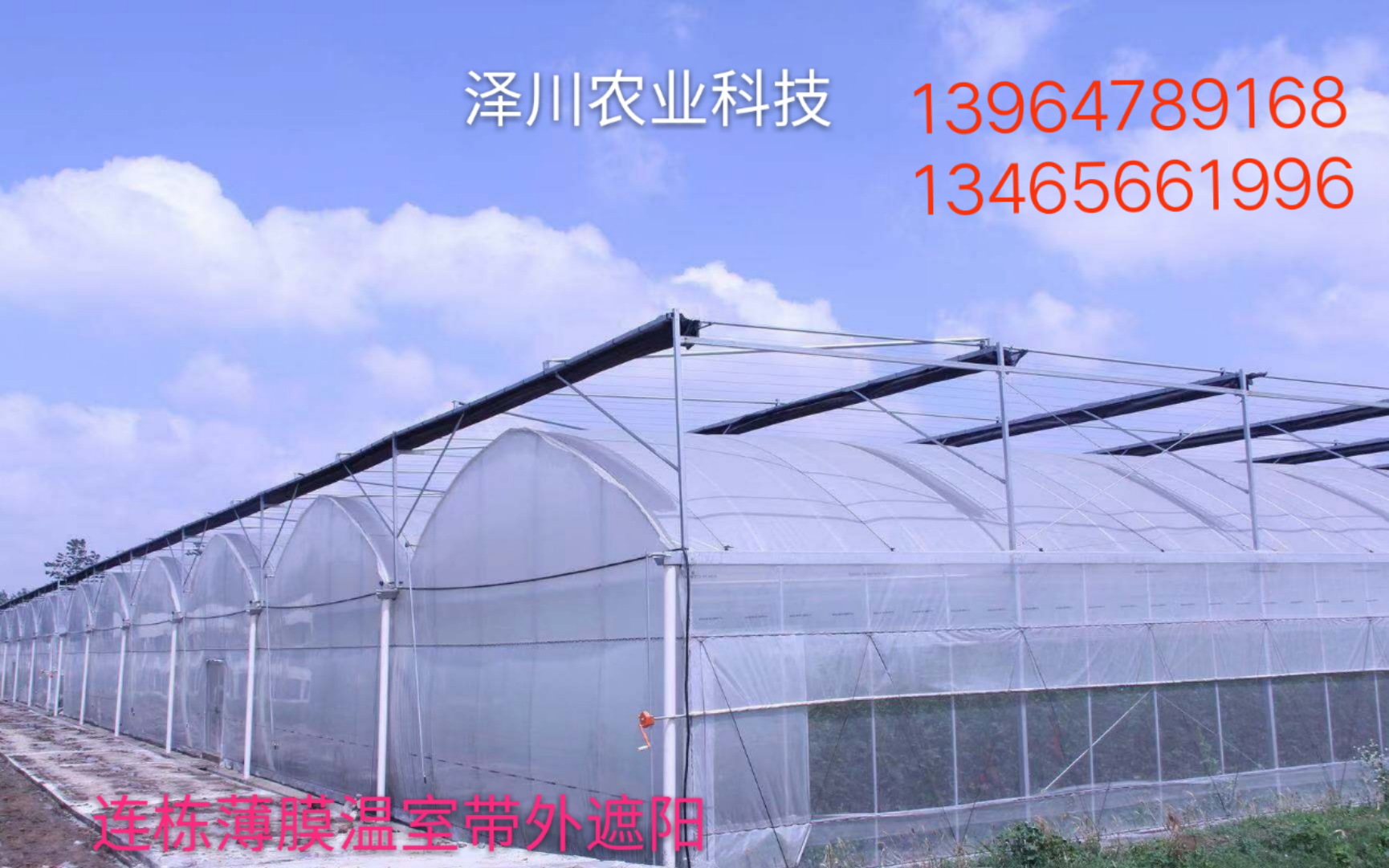紋絡(luò)型玻璃溫室生產(chǎn)廠家