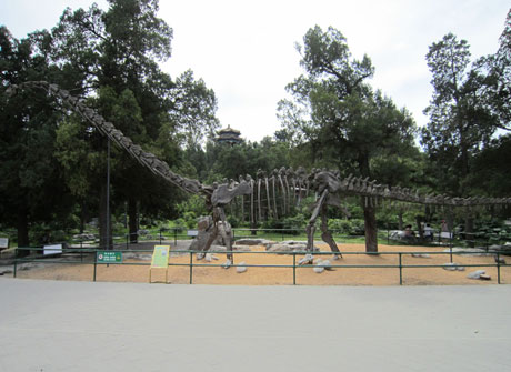 供應仿真恐龍模型 　專業(yè)制作仿真恐龍　恐龍模型價格 侏羅紀仿真恐龍游樂園