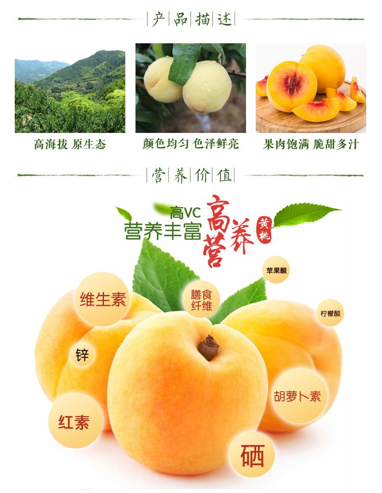 黃金桃：炎陵黃桃