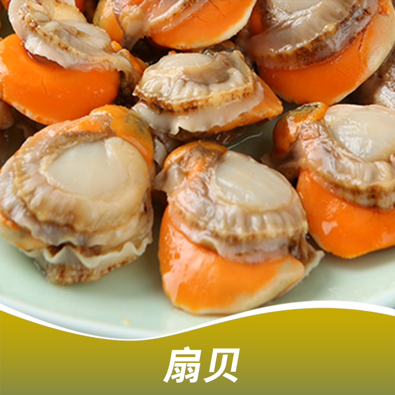|海鮮凍品|冰凍海鮮|冰凍扇貝|冷凍扇貝|廠家直銷|產(chǎn)地供應(yīng)|批發(fā)商|供貨商|供應(yīng)商 長(zhǎng)沙扇貝
