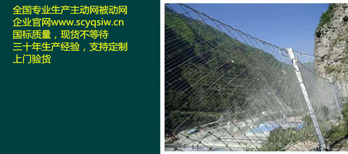 重慶被動網(wǎng)丨RXI100被動網(wǎng)丨RXI200被動網(wǎng)廠家