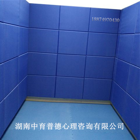 宣泄墻在宣泄室中有什么作用（廠家直銷） 宣泄墻廠家