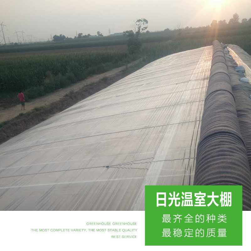 節(jié)能日光溫室@蕪湖日光溫室大棚造價(jià)