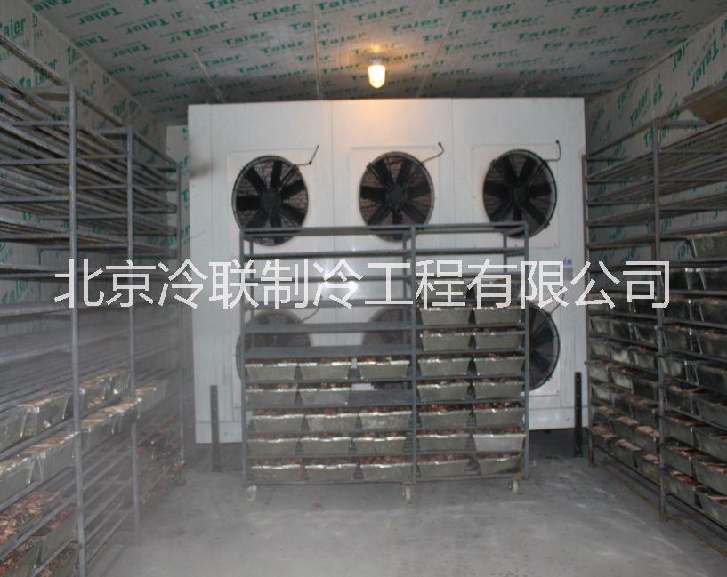食品速凍冷庫，冷聯(lián)速凍冷庫設(shè)計(jì)、速凍庫安裝