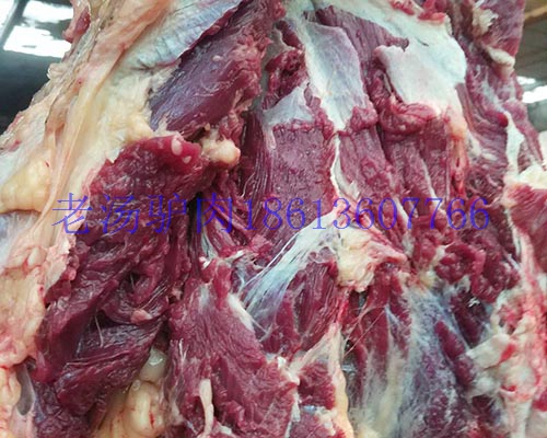 供應(yīng)純進口馬肋排剔骨營養(yǎng)肋排可定做加工新鮮馬肋條 馬肉進口馬肉蒙古馬肉