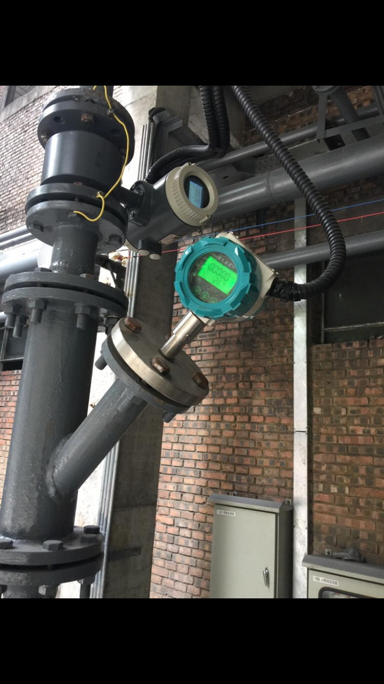 河南 XY-883直插式在線液體密度計價格