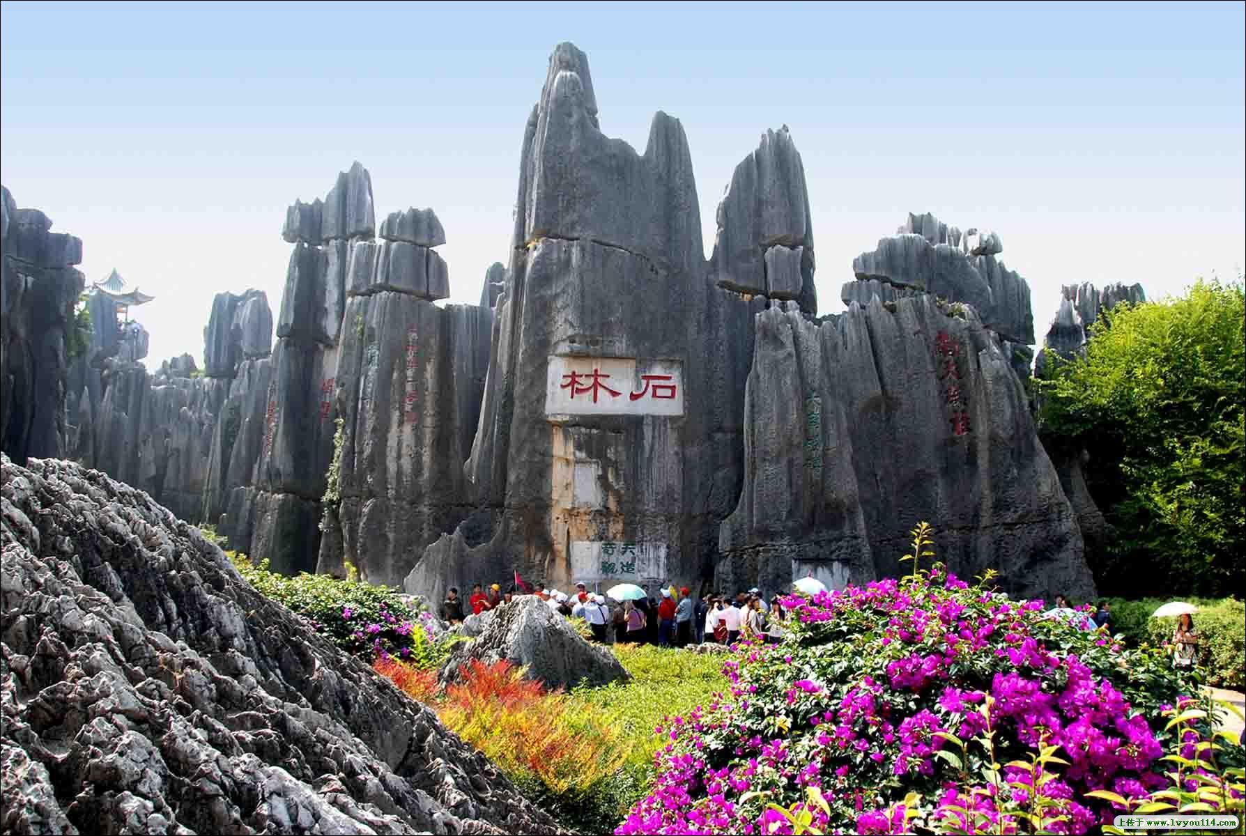 想去云南旅游，來問頭號玩家國旅，頭號玩家國旅幫你選擇 云南旅游線路，頭號玩家國旅