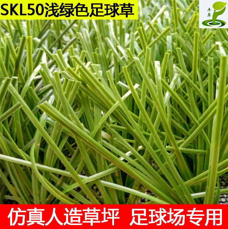 塑料人工假草皮地毯草坪樓頂5公分帶筋草足球人造草坪耐磨耐用