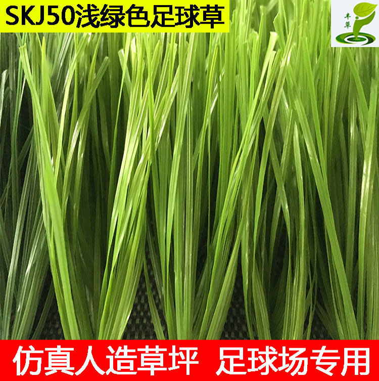 塑料人工假草皮地毯草坪樓頂5公分帶筋草足球人造草坪耐磨耐用