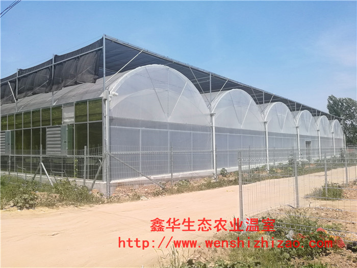 連棟簡易薄膜溫室~簡易薄膜溫室~簡易薄膜溫室建造