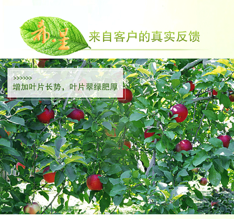 富底-蓮藕*肥復(fù)合微生物菌肥