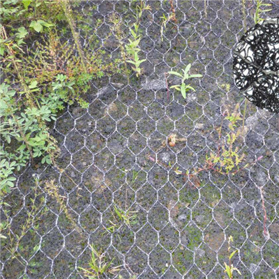 生態(tài)加筋麥克墊A青島生態(tài)加筋麥克墊A生態(tài)加筋麥克墊廠家