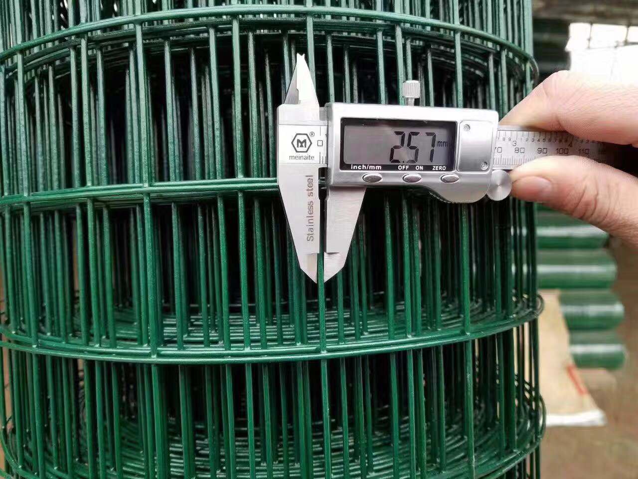 pvc荷蘭網(wǎng)價(jià)格/綠色鐵絲網(wǎng)廠家