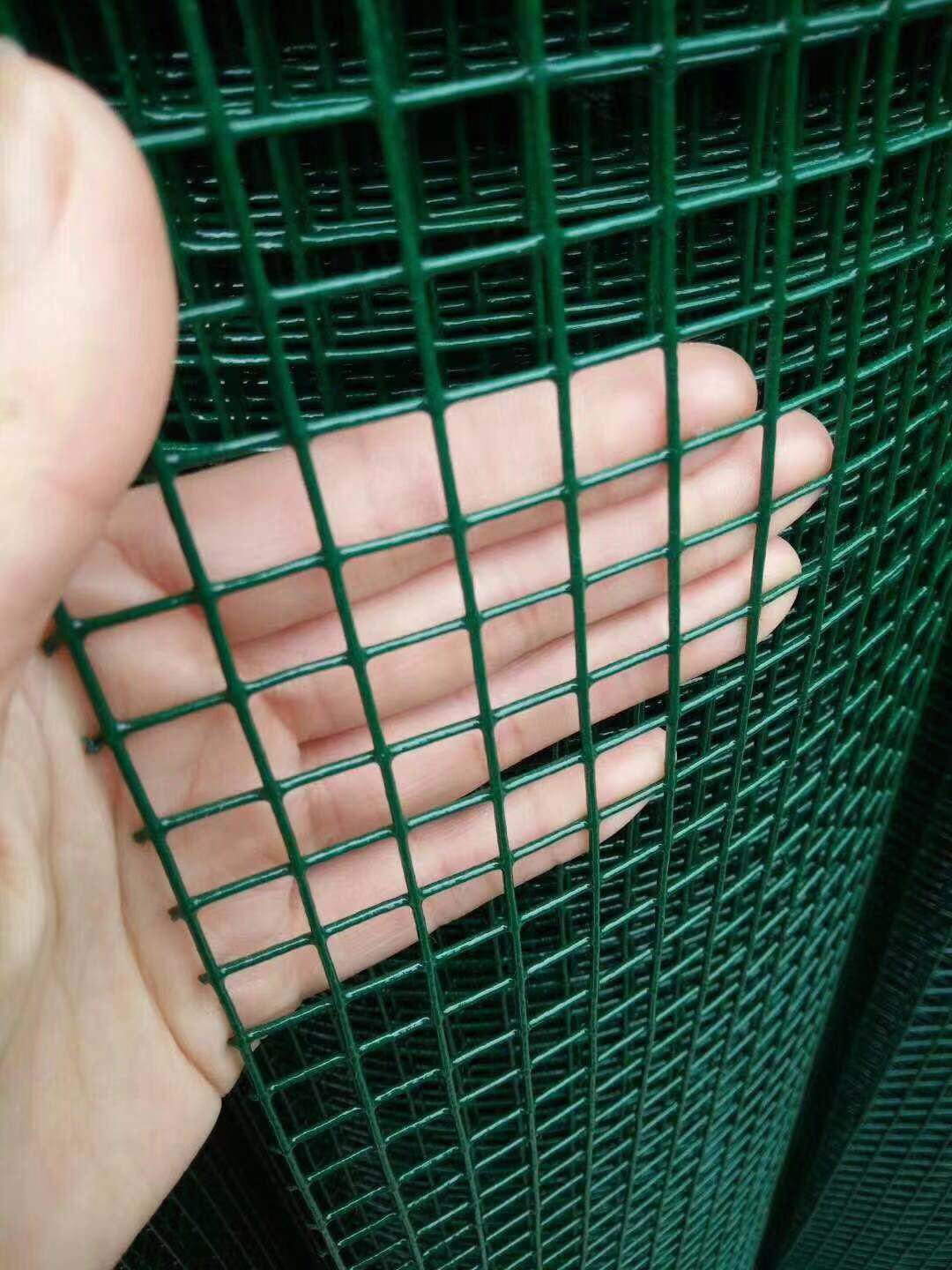 麒麟荷蘭網(wǎng)價(jià)格/養(yǎng)殖護(hù)欄批發(fā)