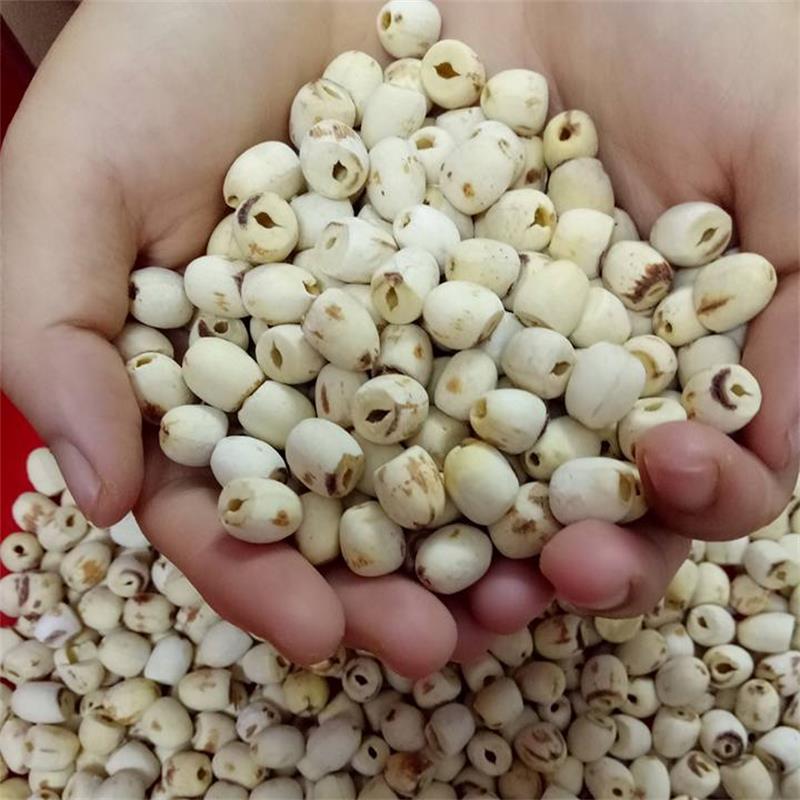 磨皮蓮 無芯通心磨白蓮 湘蓮子 寸三蓮 尚品蓮皇產(chǎn)地批發(fā)供應(yīng) 去芯磨皮白蓮子 去芯*小粒磨皮白蓮子