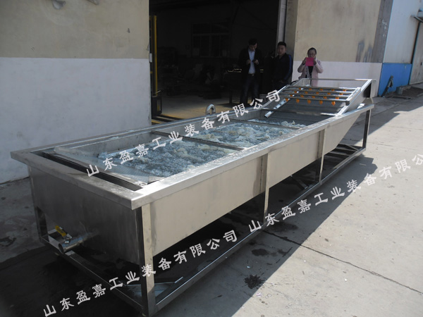 油菜清洗機(jī)  蔬菜氣泡清洗機(jī)