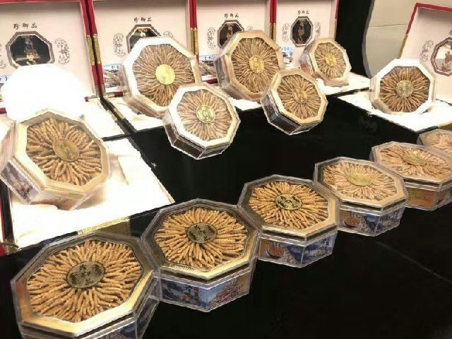 蟲草怎么吃/食用方法/吃法大全