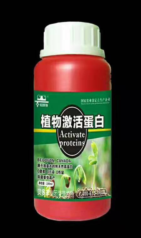 植物*素廠家_植物生長*素作用_植物*蛋白