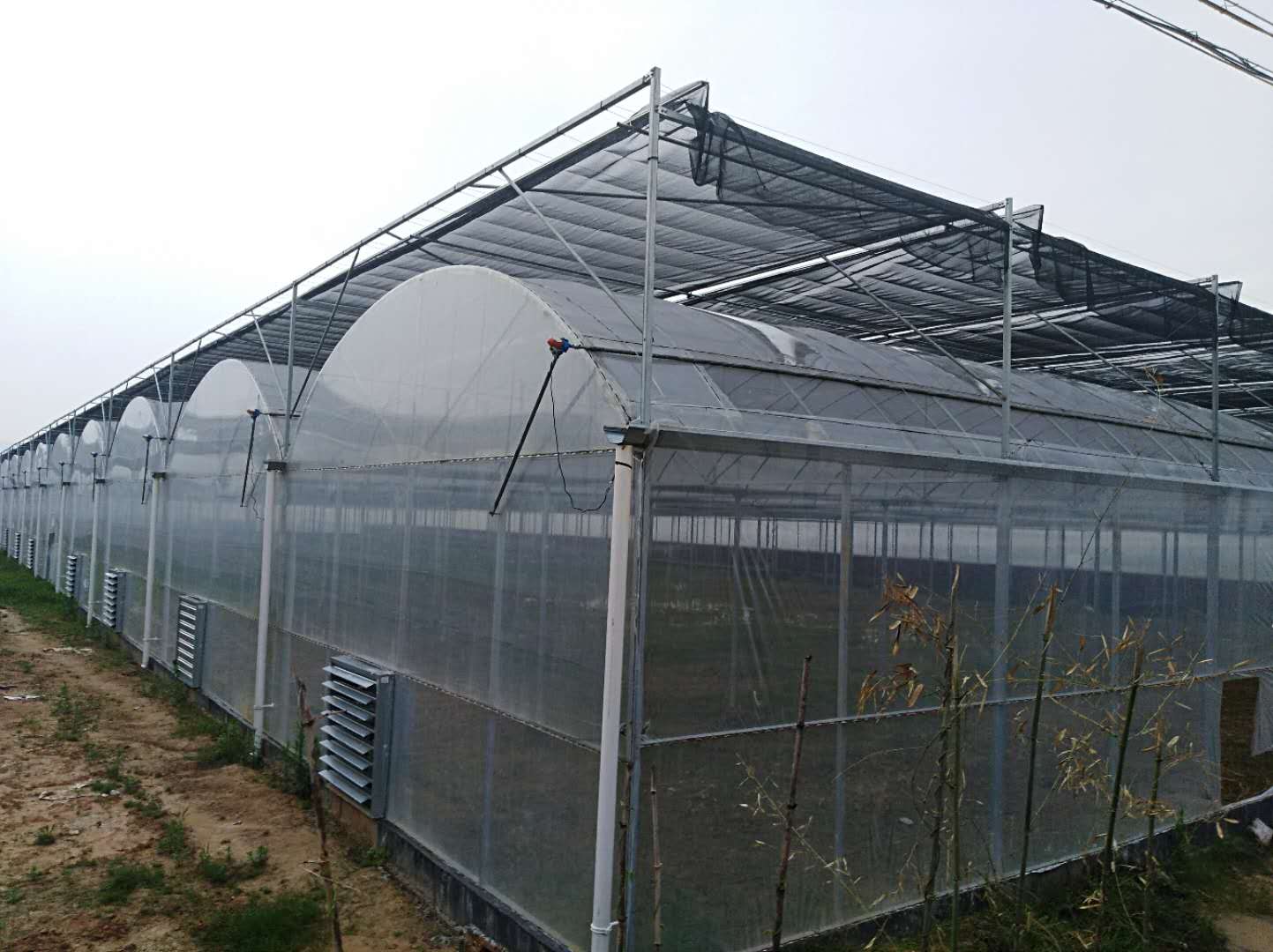 江蘇連棟大棚骨架廠家建設造價咨詢電話 連棟大棚廠家批發(fā)報價價格表 連棟大棚樣板圖效果圖片