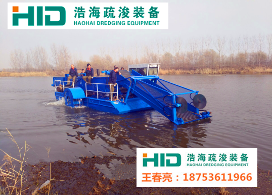 蘆葦切割收集船  割草船  水草收集船