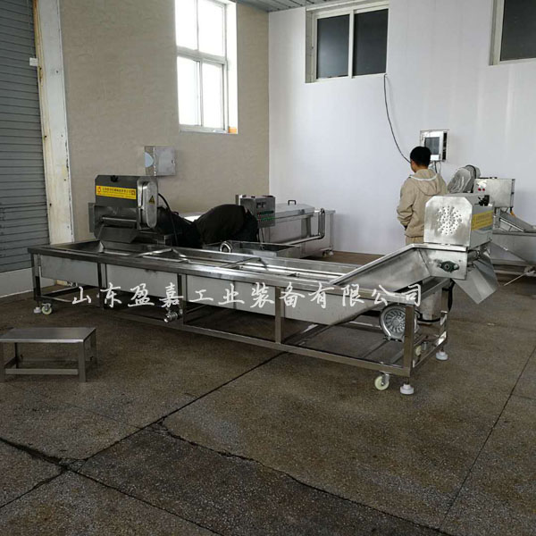 香菇漂燙機(jī) 盈嘉果蔬漂燙流水線