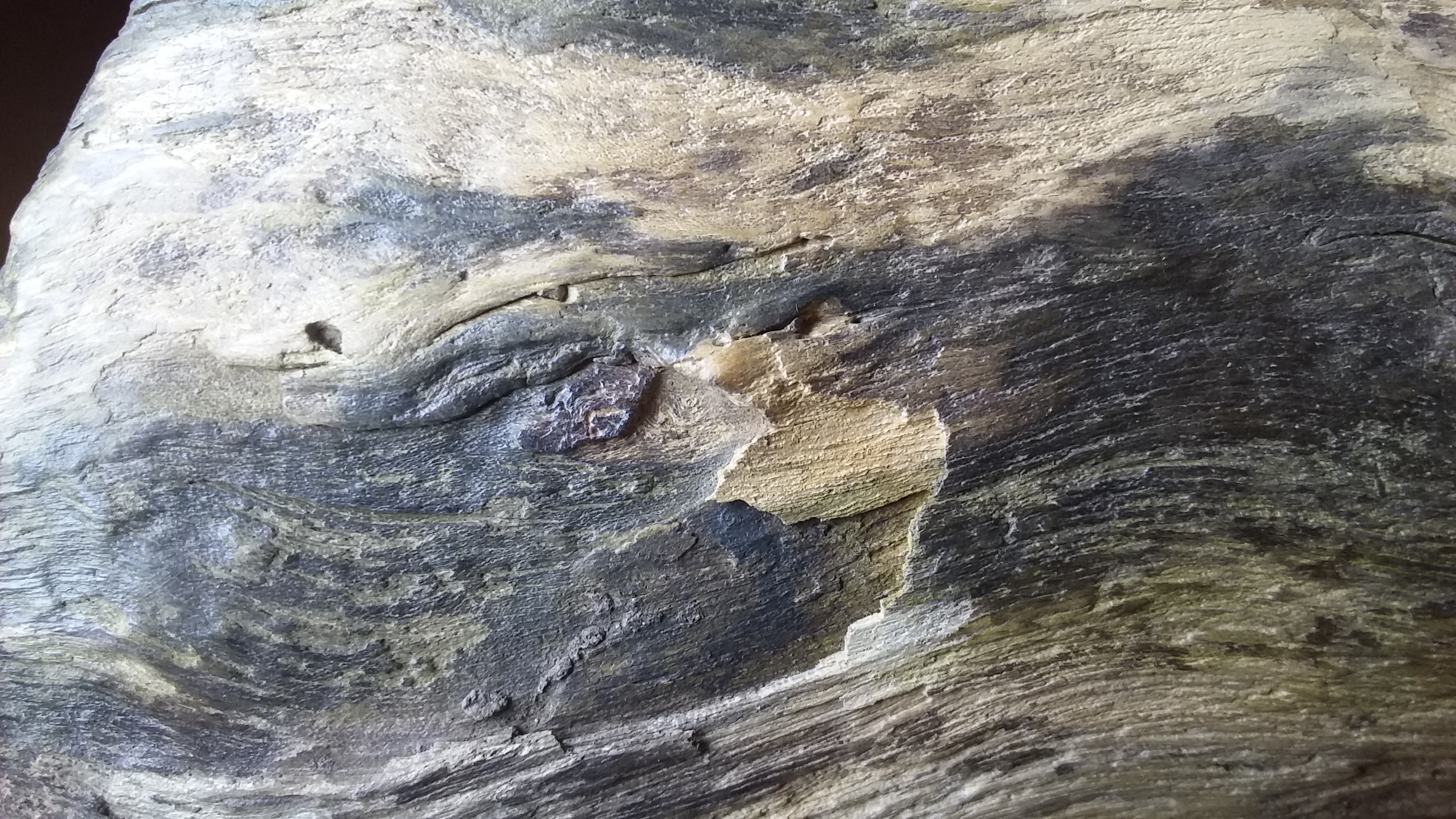 *沉香零售批發(fā)廠家
