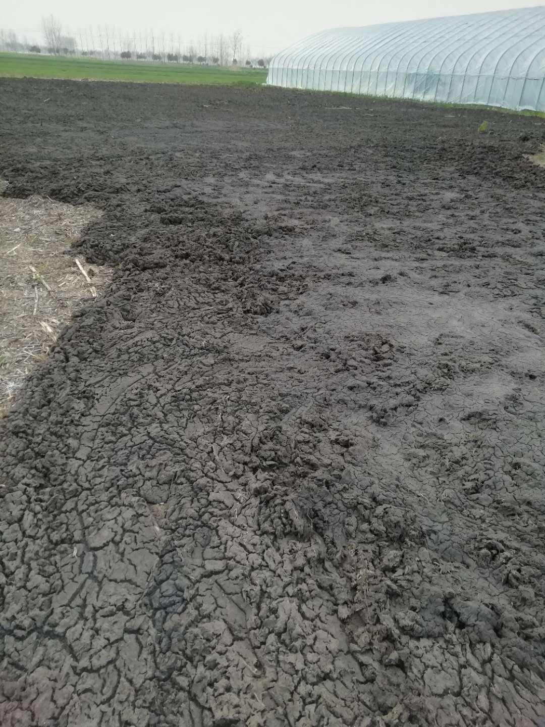 干雞糞 干雞糞價(jià)格 雞糞 干雞糞直銷 江蘇干雞糞直銷廠家  江蘇干雞糞廠家直銷 江蘇雞糞供應(yīng)商 純干雞糞