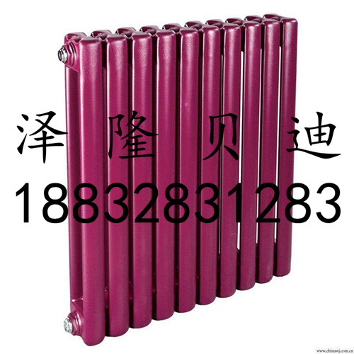 鋼二柱暖氣片