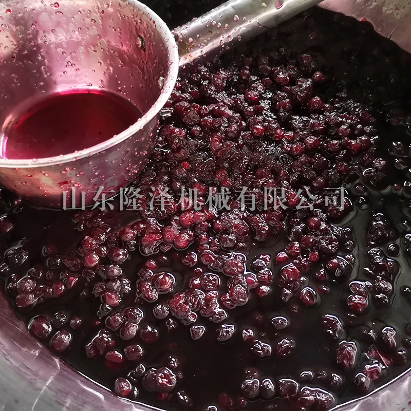 LZ600L真空浸糖機(jī) 全自動(dòng)大型果脯蜜餞真空浸糖設(shè)備 果干浸漬機(jī)器 浸糖鍋