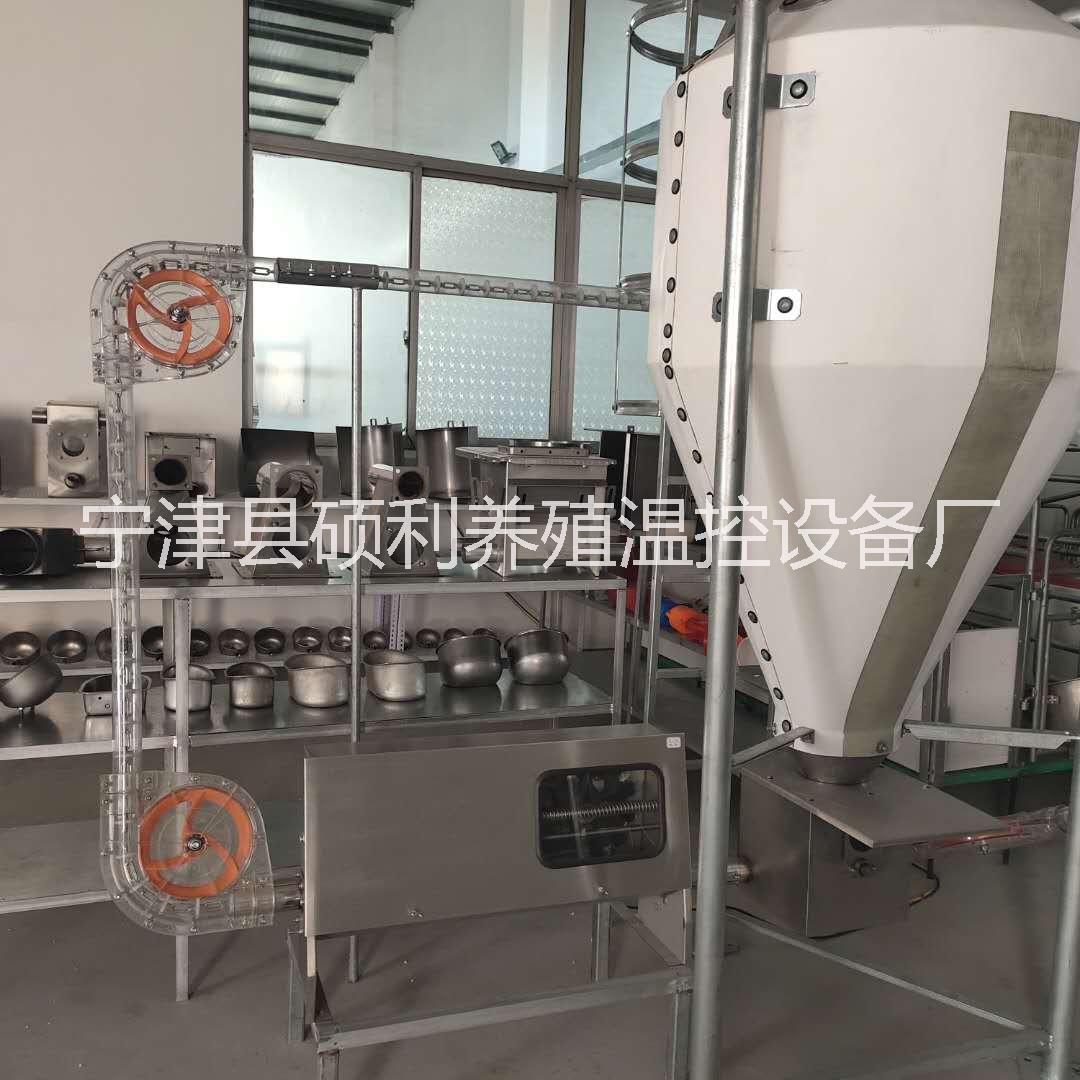 自動(dòng)喂料線 全自動(dòng)喂料設(shè)備  技術(shù)完善 售后一站式服務(wù)省時(shí)省力