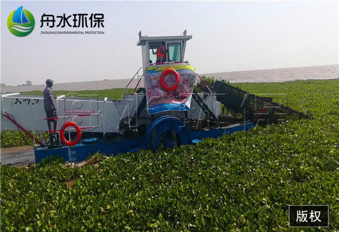 小型河道保潔船割草船水葫蘆打撈船