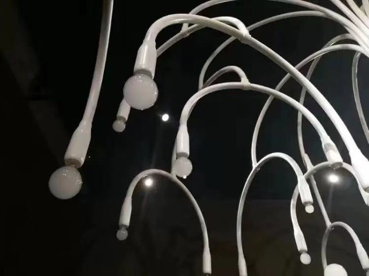 泡泡樹廠家，煙泡樹廠家