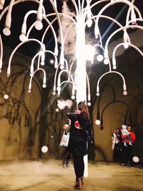 煙霧泡泡樹廠家，煙泡樹定制