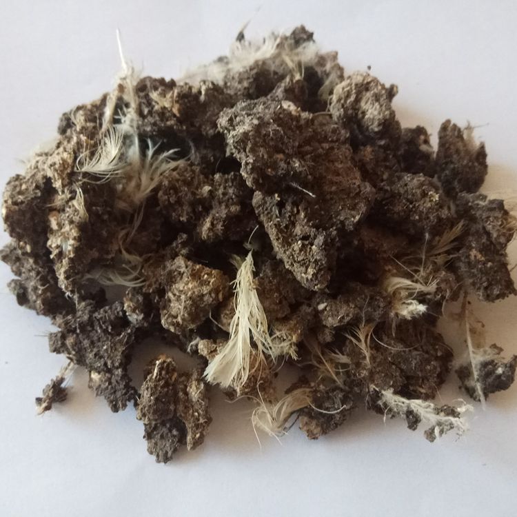 云南哪里有批發(fā)干雞糞塊有機肥的 元謀蔬菜種植用干雞糞肥效好不好