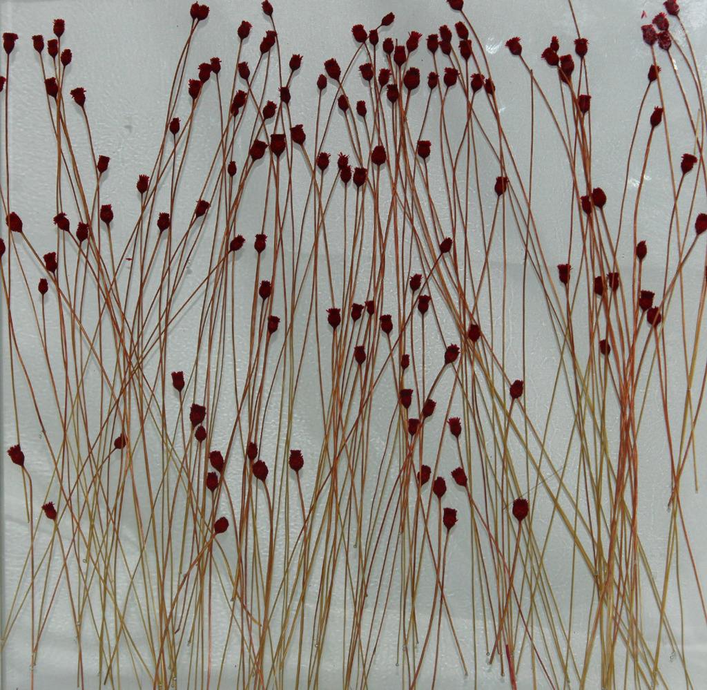 河南鄭州電子霧化智能通電調(diào)光玻璃