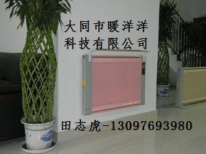 供應(yīng)朔州哪里賣熱風幕熱輻射板電暖器