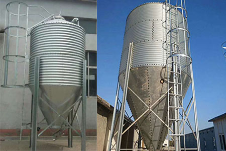 母豬懷孕為什么要住母豬定位欄