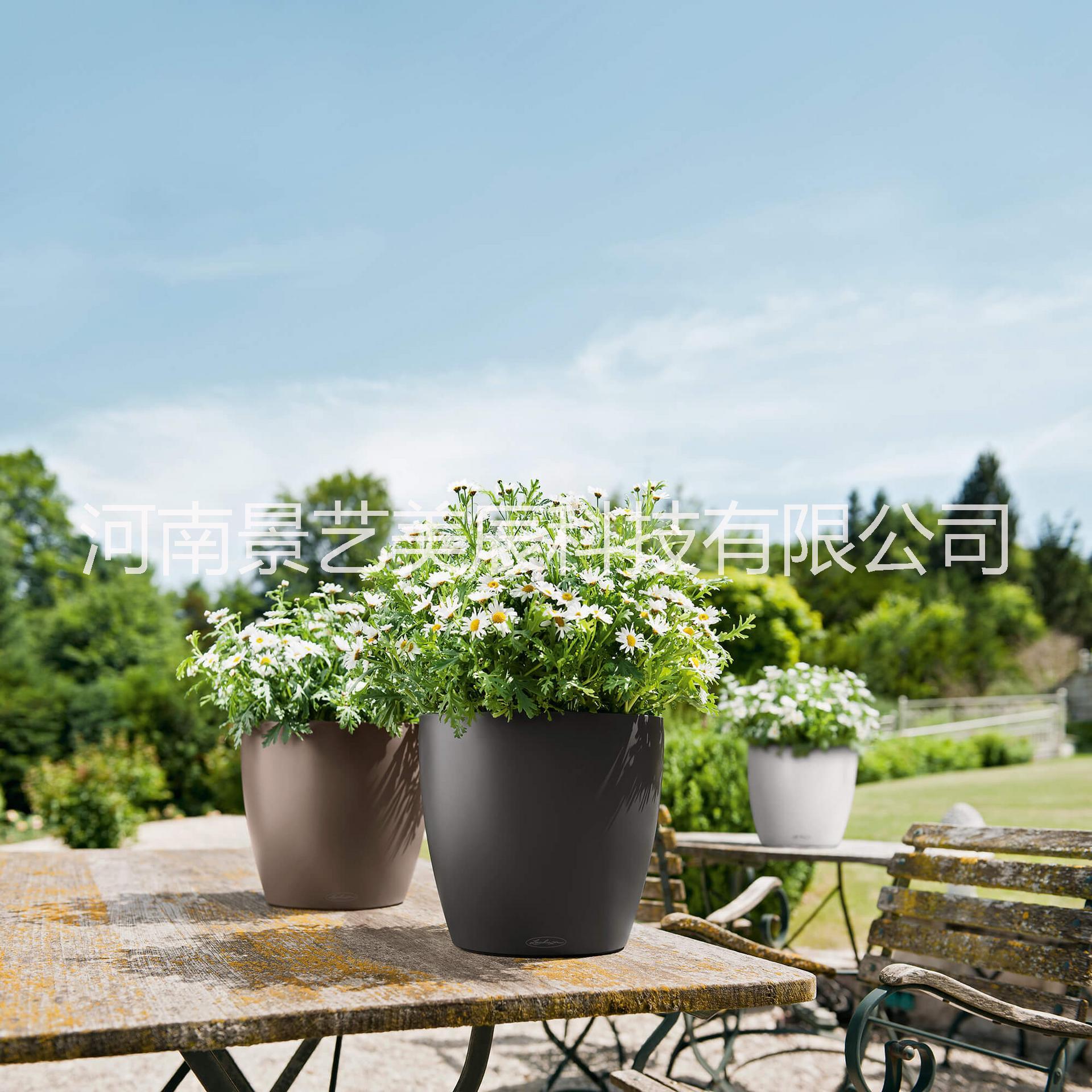 高光矮胖圓型JY-05