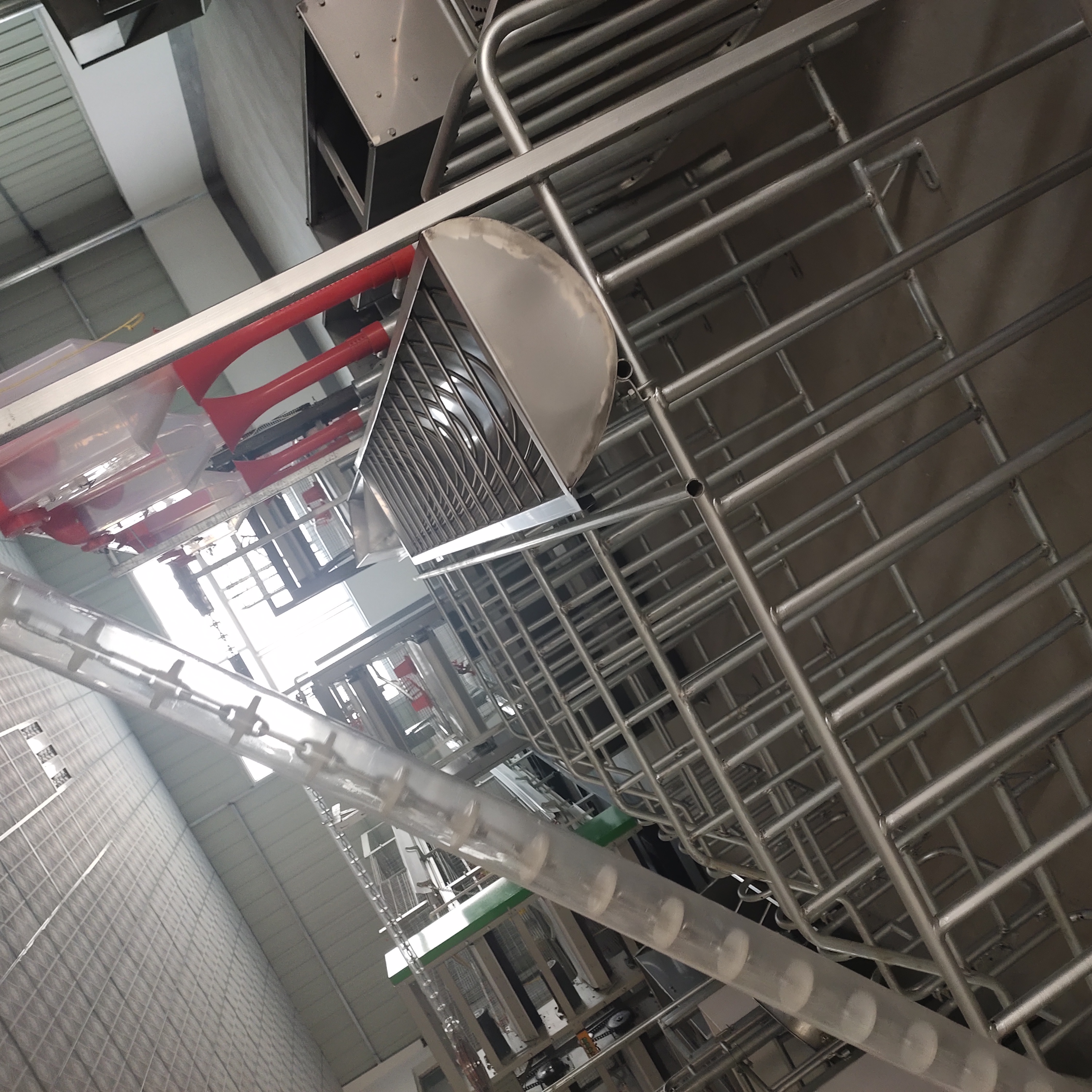 山東碩利自動喂料設(shè)備 育肥豬料線